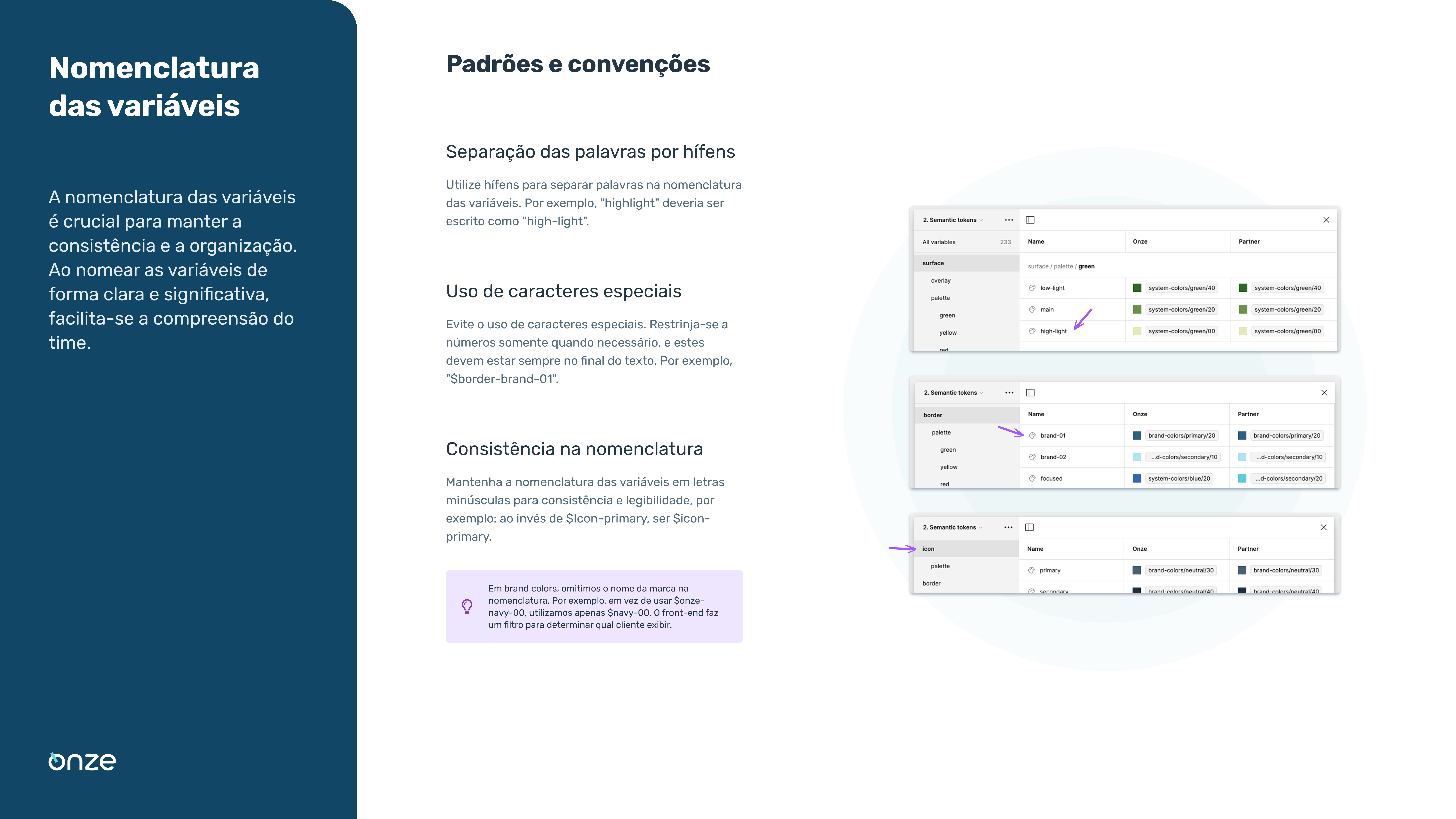 Variable naming standards and conventions